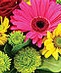 Get Well Flowers