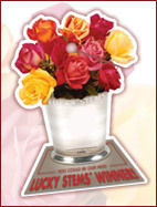 Lucky Stems&reg; Contest