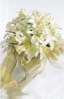 White Wonders