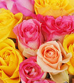 Register to Win a Dozen Roses