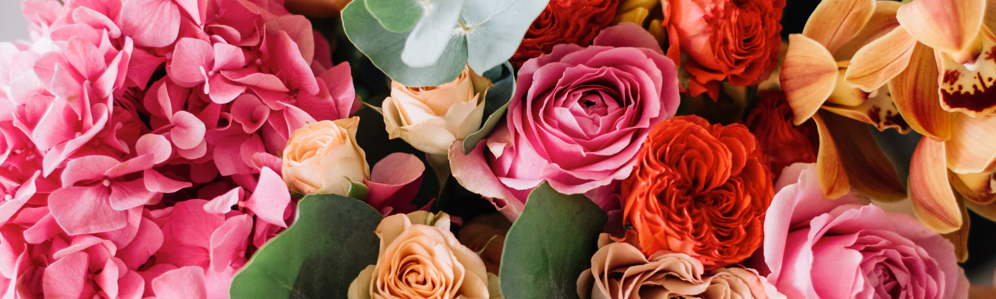 Wilmington NC SameDay Flower Delivery Julia's Florist