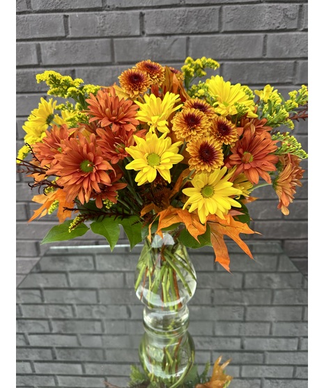 Fall Daisies