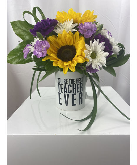 Best Teacher Ever!