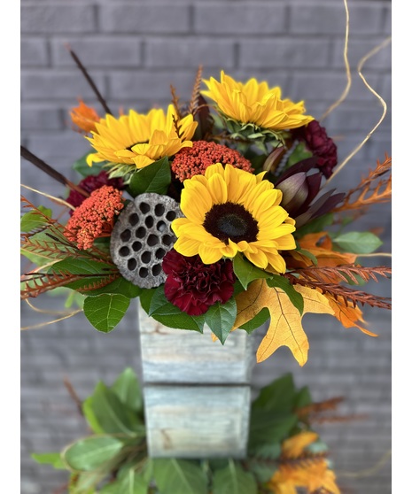 Sunny Fall
