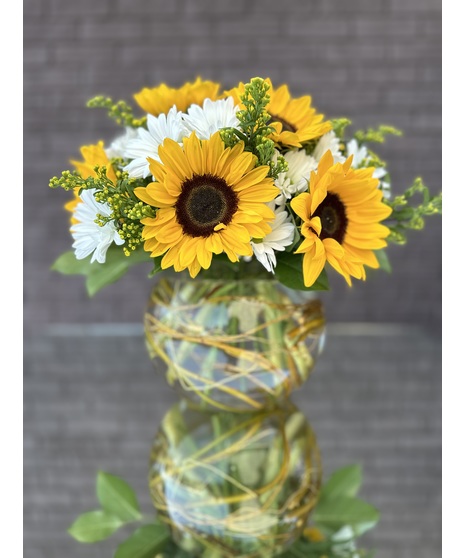 Daisy Delight