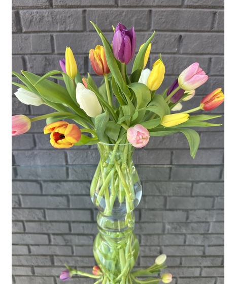 Classic Colorful Tulips