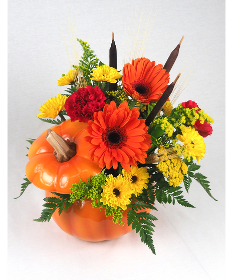 A Pumpkin Delight