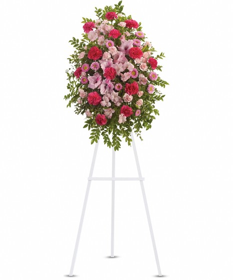 Pink Tribute