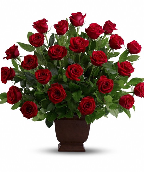 Rose Tribute