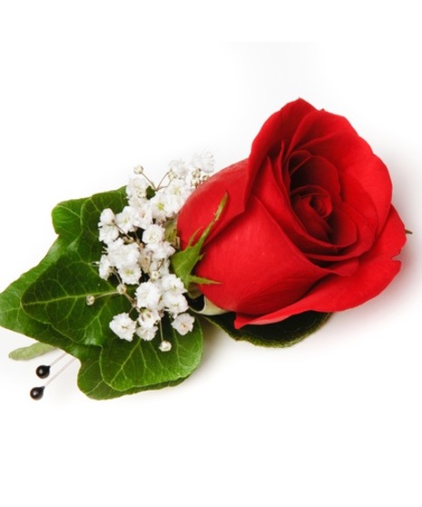 Rose & Ivy Boutonniere