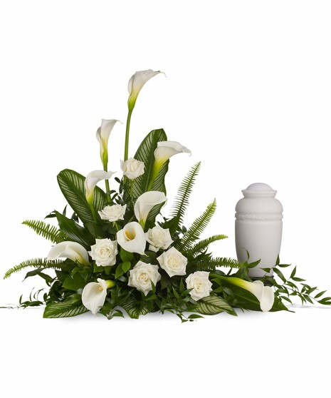 Stately Lilies