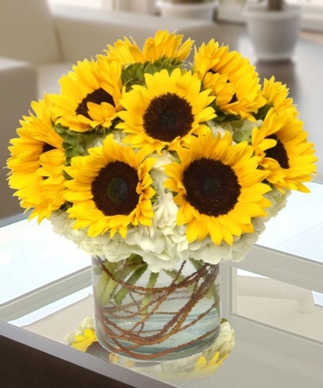 Sunflowers and Hydrangea