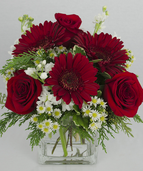 Red and white flowers in a clear glass cube vase with winter greenery