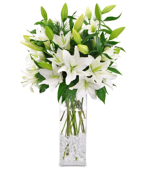 Winter White Lilies