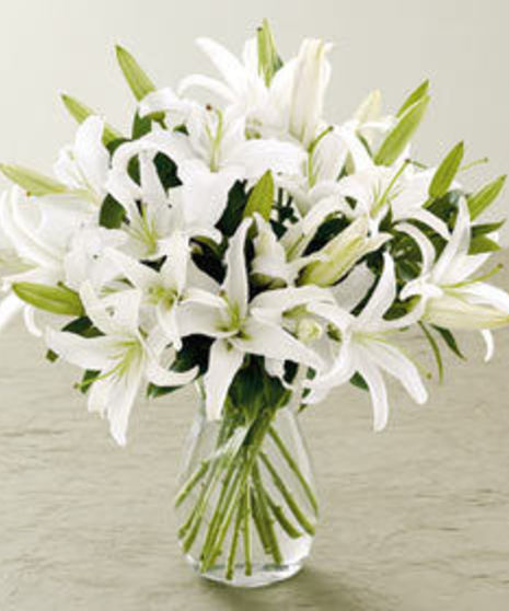 White Oriental Lilies