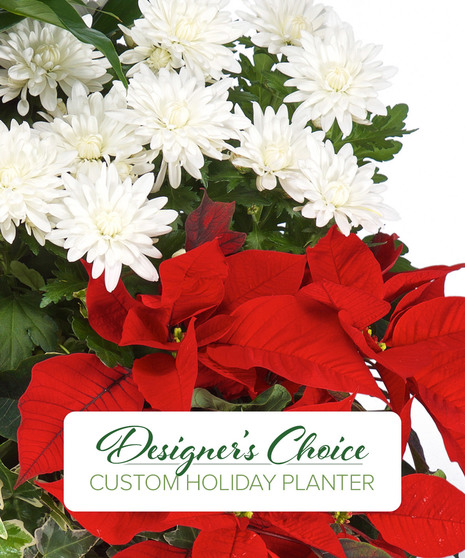 Designer's Choice Holiday Planter
