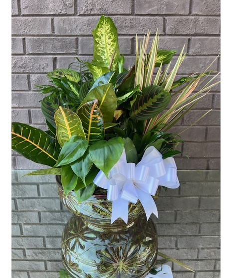 Various green plants in a gray ceramic bowl.