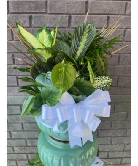 Various green plants in a gray ceramic bowl.