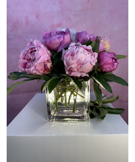 Summer Peonies