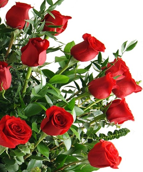 48 Long Stem Roses Vased