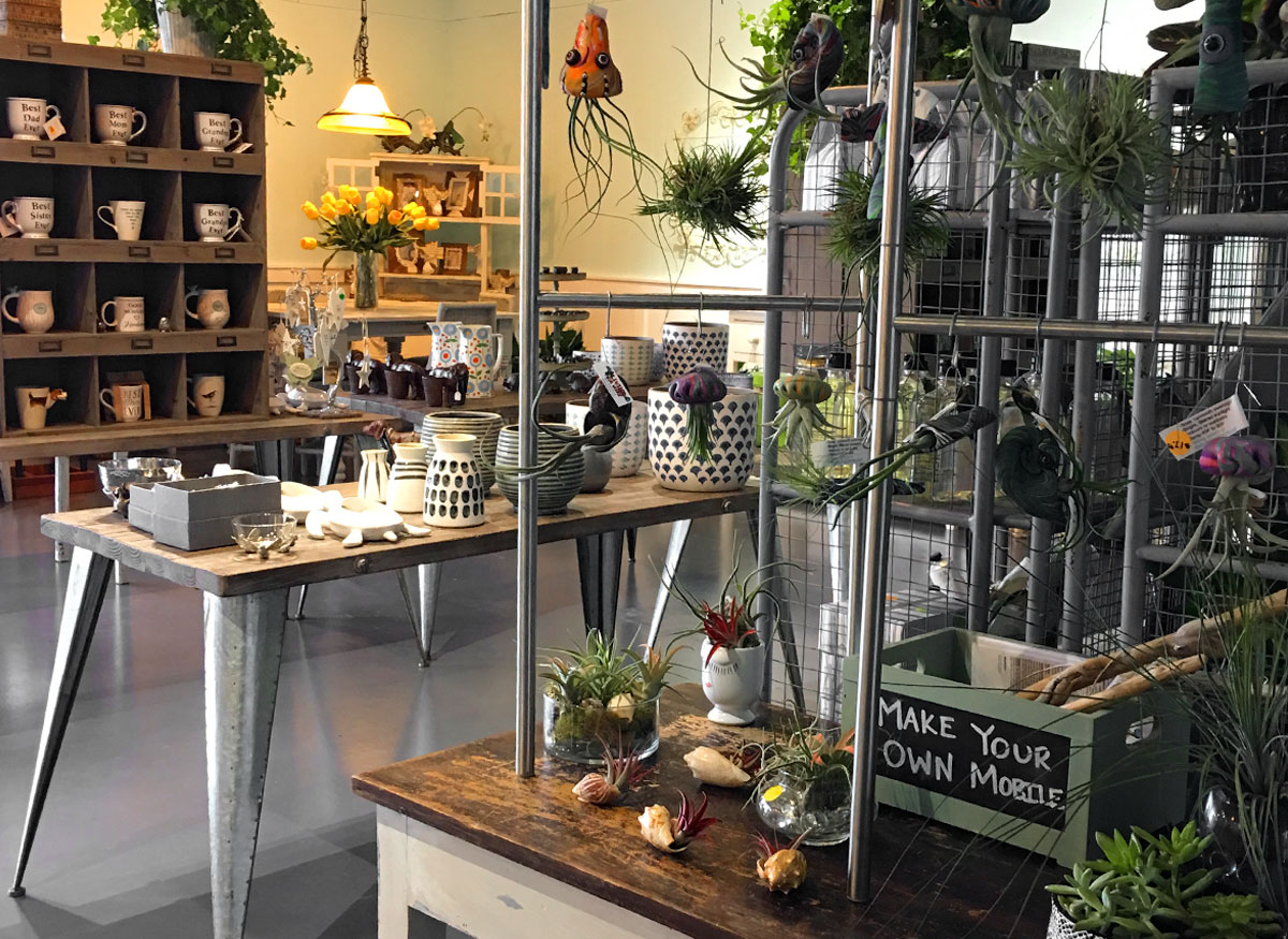 Gorgeous flower and plant arrangements in a wide range of pots and baskets